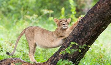 14 Day Zimbabwe & Botswana Itinerary, incl. Victoria Falls and Okavango Delta
