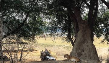 14 Days in Botswana Safari, incl. Okavango Delta and Victoria Falls