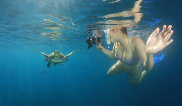 10 Day Borneo Itinerary, incl. Kota Kinabalu and Sepilok