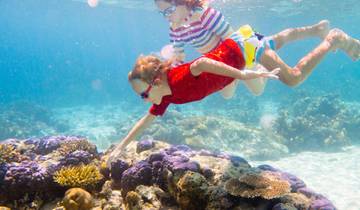 10 Day Borneo Itinerary, incl. Kota Kinabalu and Sepilok