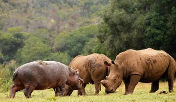 3 day Botlierskop Garden Route Glamping and Whale Coast Safari with Private transfers