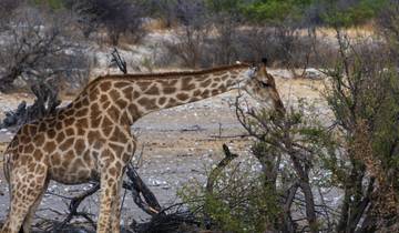21 Day Southern Africa Itinerary, incl. Cape Town and Victoria Falls