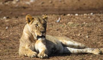 21 Day Southern Africa Itinerary, incl. Cape Town and Victoria Falls