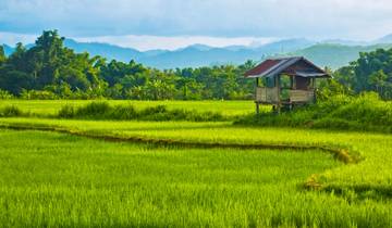 Les points forts du Laos - 7 jours