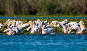 Safari privé de quatre jours jusqu'au delta du Danube au départ de Bucarest