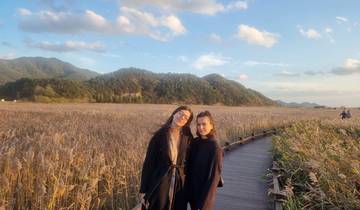 7 Day South Korea Itinerary, incl. Seoul and Busan