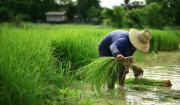 7 Days in Southern Thailand, incl. Khao Sok and Krabi