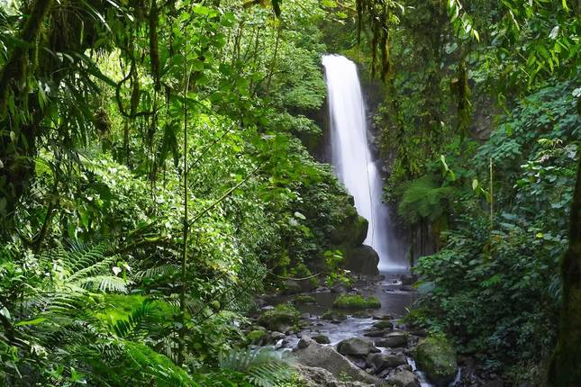 Costa Rica Adventure