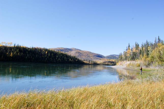 The Klondiker: Paddling the Big Salmon River