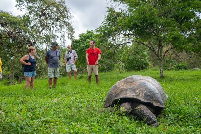 A la rencontre des Galápagos : Îles du Sud - Grand Queen Beatriz