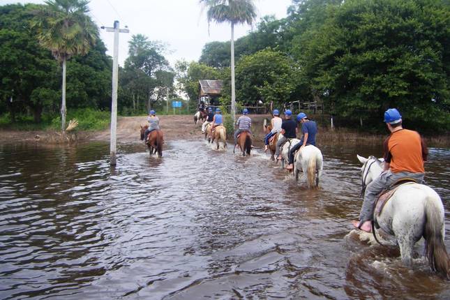 Cartagena Naar Rio (19 Weken) Koninkrijken & Carnavals