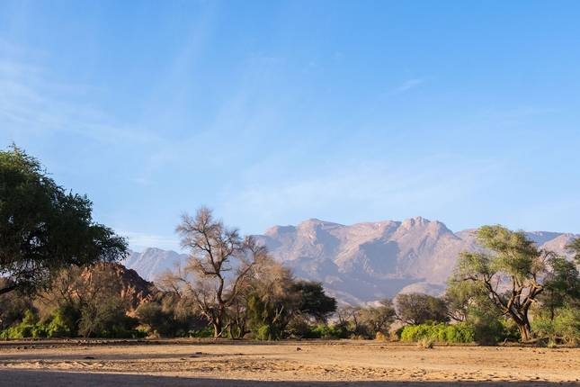 Ultimate Africa: Safari Drives & the Savannah