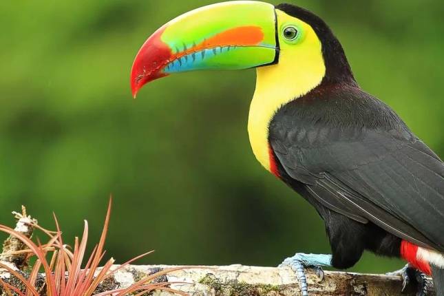 Highlights of Costa Rica