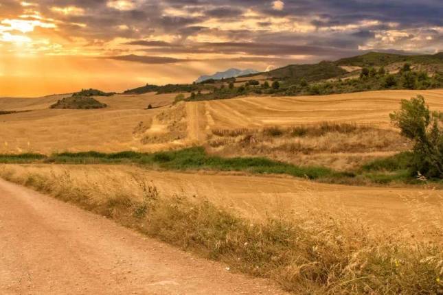Walking the Camino de Santiago