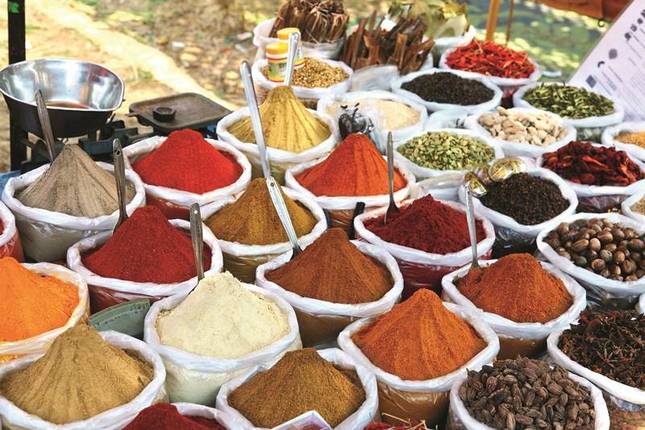 Treasures of Central India