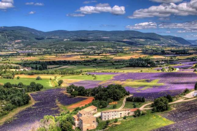 Cycle Provence