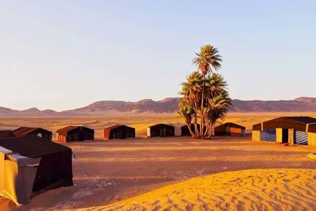 Family Atlas Mountain and Sahara Adventure