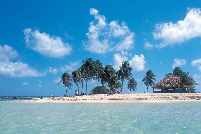 Family Belize Wildlife Adventure