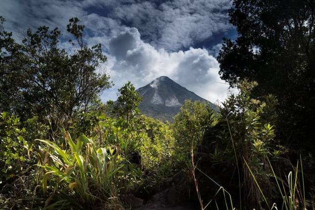 Family Costa Rica Rainforest and Wildlife Adventure