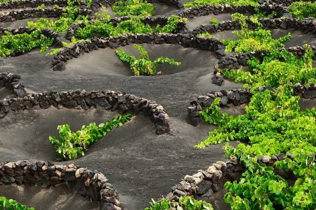 Canary Islands Walking - Lanzarote