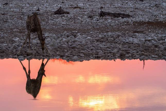 Namibia Lodge Safari