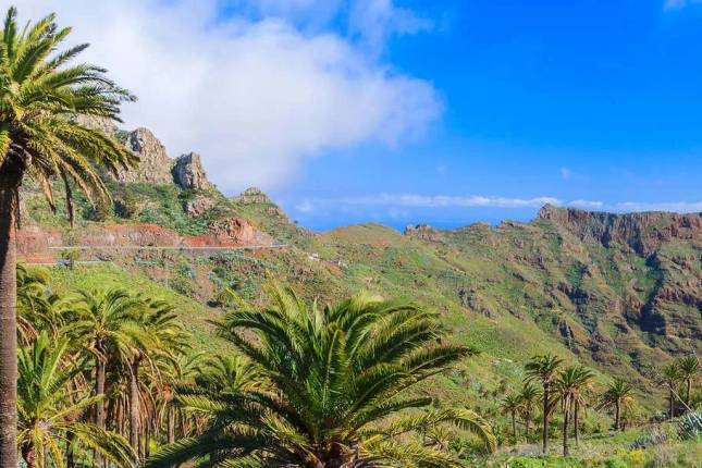 Canary Islands Walking - La Gomera and Tenerife