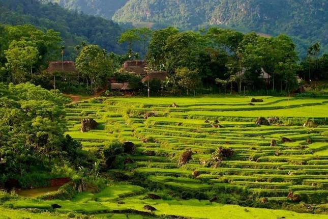 Walking in Vietnam