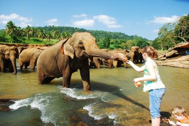 Blissful Sri Lanka, Private Tour