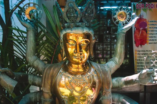 Sri Lanka in a Nutshell, Private Tour
