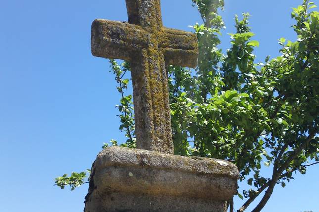 Highlights of the Camino de Santiago Walk