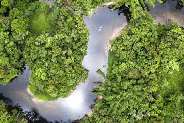 Brazilian Amazon by Boat