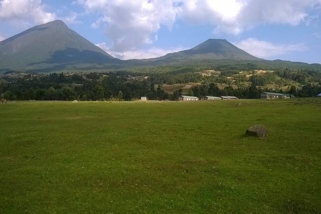 3-Day Uganda Gorillas and Golden Monkey Trekking Safari