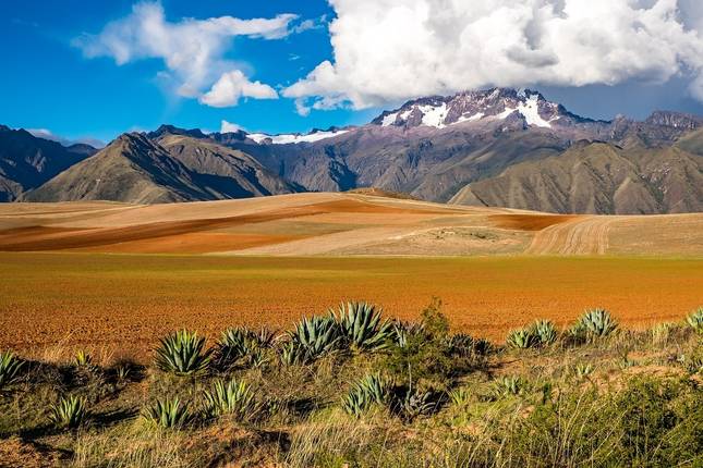 Treasures of the Incas (Small Groups)