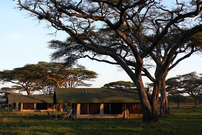 5 Days Marangu Route on Kilimanjaro (Coca- Cola route)