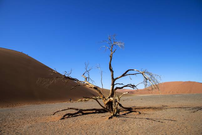 Sossusvlei, Swakopmund & Etosha (Camping) - 7 Days
