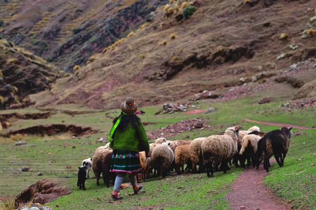 Ancascocha Trek to Machu Picchu 5 Days/4 Nights
