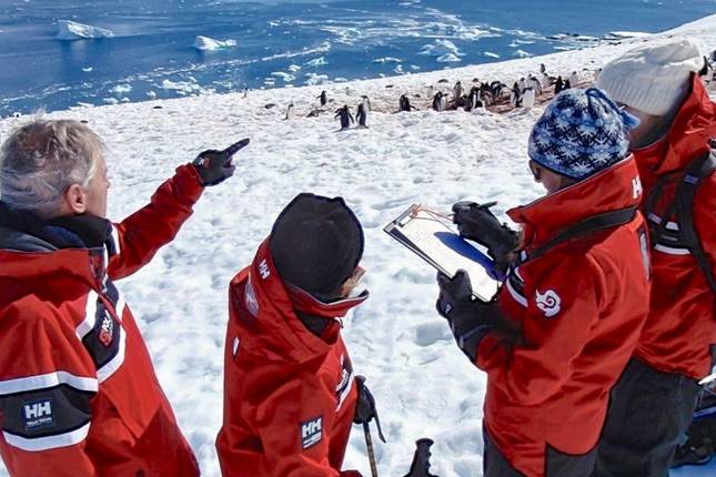 Antarctic Peninsula: An Explorer's Expedition