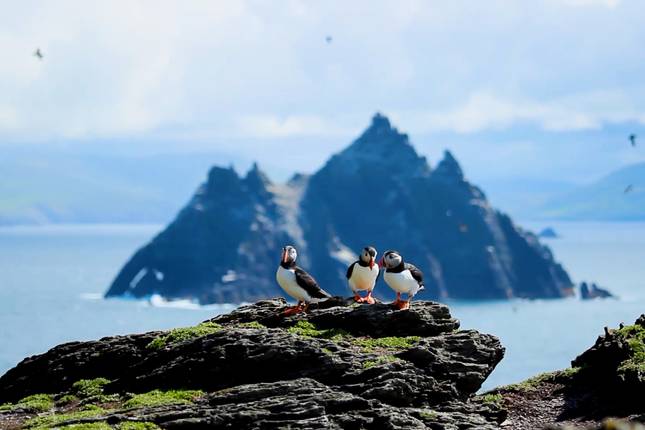 7-Day Ireland to Island Small Group Tour of Ireland