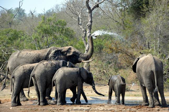 20-day South Africa, Lesotho & Eswatini Explorer (Accommodated)