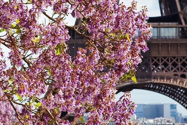 Paris & Normandy (2025) (Paris to Paris, 2025)