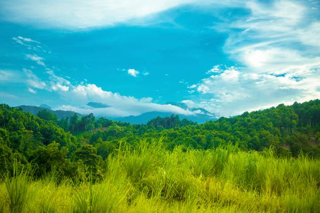 Sapa 3 Days 2 Nights Trekking Tour From Hanoi (1 Night In Ta Van Village, 1 Night In Hotel)