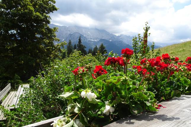 From Garmisch to Merano with Charm