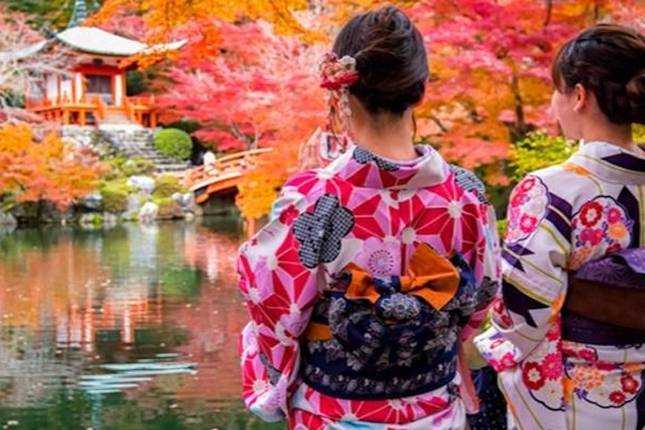 7 Days Highlights of Japan