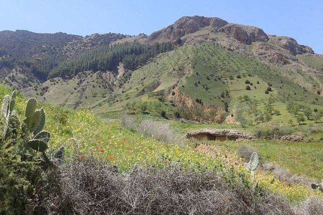 Mount Toubkal - Ascent Trek 3 Days and 2 Nights