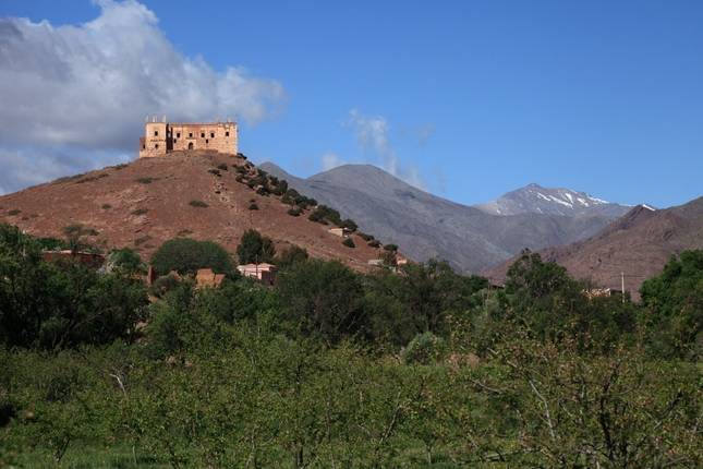 Day Excursions From Marrakech to Marrakech