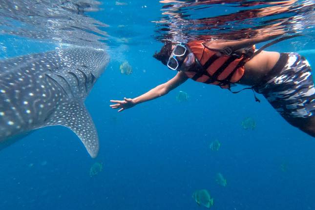 16 Days Philippines Adventure with El Nido to Coron Island expedition (Independent Tour)