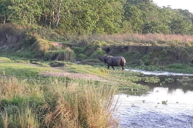 Kathmandu Cultural Tour and Bardia National Park Tour