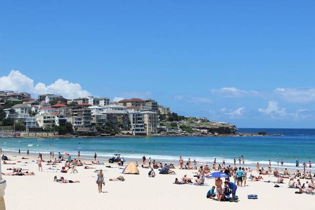 Sydney to Brisbane Experience: Bushwalks & Surfing