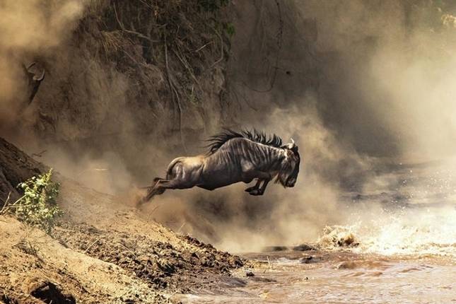 Classic Migration Safari Kenya and Tanzania 2024