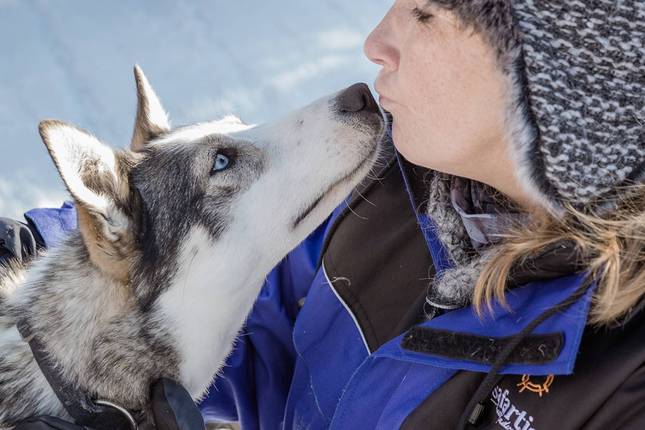 Lapland & Husky Highlights - 5 Days